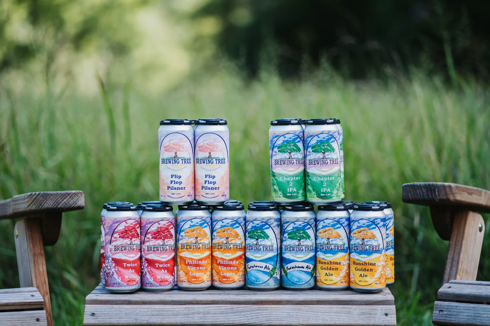 Six varieties of Brewing Tree canned beers